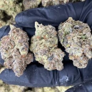 Buy Frozen Grapes Strain